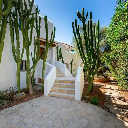 Amarantos * Santa Eularia des Riu